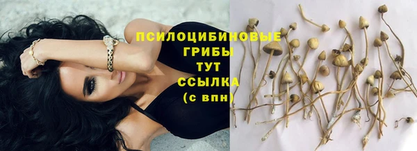 mdpv Баксан