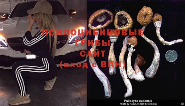 mdpv Баксан