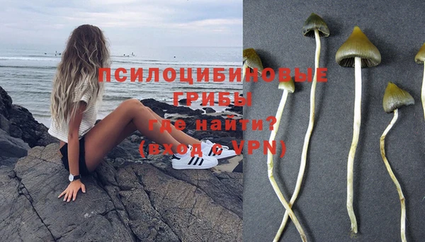 гидропоника Балабаново