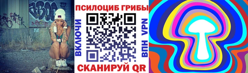 Псилоцибиновые грибы GOLDEN TEACHER  Гай 