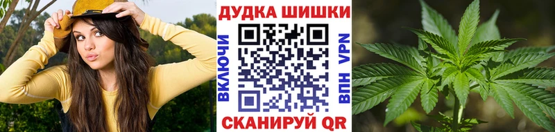 Шишки марихуана план  Гай 